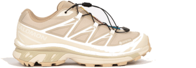 Salomon XT-6 Gore-Tex L47732400