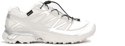 Salomon XT-PATHWAY Gore-Tex L47730900