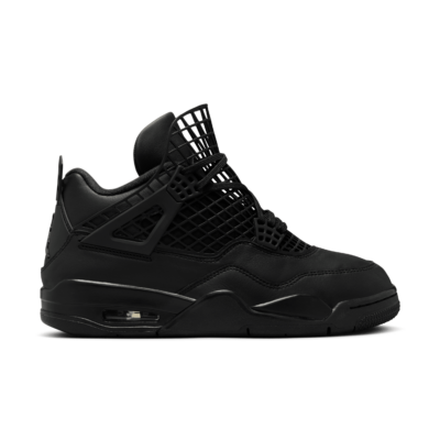 Air Jordan WMNS 4 NET FN7251-001
