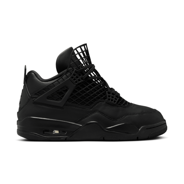 Air Jordan WMNS 4 NET FN7251-001
