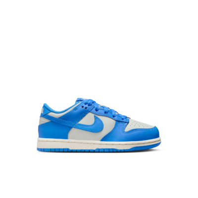 Nike Dunk Low Grijs FB9108-004