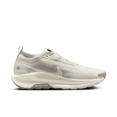Nike Pegasus Trail 5 GORE-TEX waterdichte Grijs FQ0908-008
