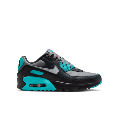 Nike Air Max 90 LTR Grijs CD6864-027